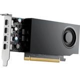 NVIDIA® RTX A1000 8 GB grafische kaart 4x Mini DisplayPort, Bulk