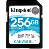 Kingston Canvas Go! SDHC 256GB geheugenkaart Zwart, SDG/256GB, Class 10 UHS-I U3