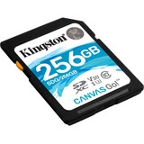 Kingston Canvas Go! SDHC 256 GB geheugenkaart Zwart, UHS-I U3, Class 10