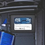 Patriot P210, 256 GB SSD Zwart, P210S256G25, SATA III