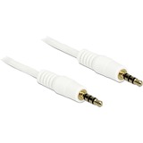 DeLOCK 3,5 mm male > 3.5 mm male kabel Wit, 1 meter