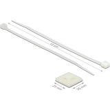 DeLOCK Kabelbinderbevestiging 25 x 25 mm met kabelbinders L 150 x B 3,6 mm Wit, 10 stuks