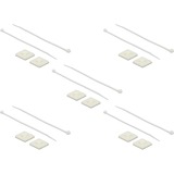 DeLOCK Kabelbinderbevestiging 30 x 30 mm met kabelbinders Wit, 10 stuks, L 200 x B 4,8 mm