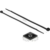 DeLOCK Kabelbinderbevestiging 30 x 30 mm met kabelbinders L 200 x B 4,8 mm Zwart, 10 stuks