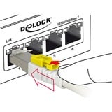 DeLOCK Patchkabel RJ-45 Secure met Cat.6a Wit, 85333, 3 meter