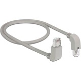 DeLOCK Patchkabel S/FTP, RJ-45 met Cat.6a Grijs, 0,5 meter