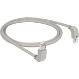 DeLOCK Patchkabel S/FTP, RJ-45 met Cat.6a Grijs, 1 meter