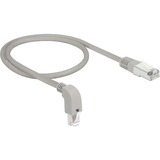 DeLOCK Patchkabel S/FTP, RJ-45 met Cat.6a Grijs, 0,5 meter