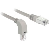 DeLOCK Patchkabel S/FTP, RJ-45 met Cat.6a Grijs, 1 meter