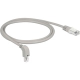 DeLOCK Patchkabel S/FTP, RJ-45 met Cat.6a Grijs, 1 meter