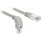 DeLOCK Patchkabel S/FTP, RJ-45 met Cat.6a Grijs, 2 meter