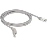 DeLOCK Patchkabel S/FTP, RJ-45 met Cat.6a Grijs, 2 meter