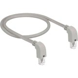 DeLOCK Patchkabel S/FTP, RJ-45 met Cat.6a Grijs, 0,5 meter