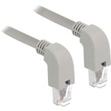 DeLOCK Patchkabel S/FTP, RJ-45 met Cat.6a Grijs, 1 meter