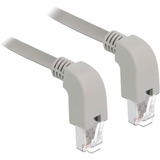 DeLOCK Patchkabel S/FTP, RJ-45 met Cat.6a Grijs, 2 meter