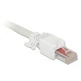 DeLOCK RJ45 plug Cat.6 UTP toolfree stekker Wit, 2 stuks