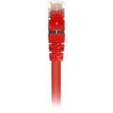 Sharkoon Netwerkkabel SFTP, RJ-45 met Cat.6 Rood, 0,25 meter
