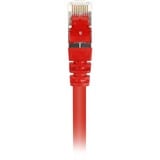 Sharkoon Patchkabel SFTP, RJ-45 met Cat.6 Rood, 0,25 meter