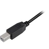 Sharkoon USB-A 2.0 naar USB-B kabel Zwart, 0,5 meter