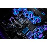 Corsair iCUE QL120 RGB case fan Zwart, 4-pins PWM fan-connector