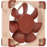 Noctua NF-A4x10 5V PWM case fan 