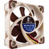 Noctua NF-A4x10 FLX case fan bruin/wit