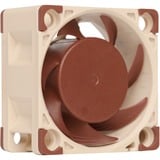 Noctua NF-A4x20 5V case fan 3-pin aansluiting