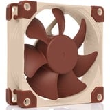 Noctua NF-A8 5V PWM case fan 