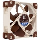 Noctua NF-A8 FLX case fan 3-pin aansluiting