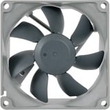 Noctua NF-R8 redux 1800 PWM case fan 4-pin PWM aansluiting