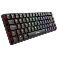 Sharkoon PureWriter W65, toetsenbord Zwart, BE Lay-out, Kailh Choc V2 Low Profile Red, RGB leds