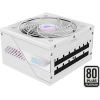 GIGABYTE AORUS ELITE GP-AE850PM PG5 ICE, 850 Watt voeding Wit, 6x PCIe, 1x 12VHPWR, Kabelmanagement