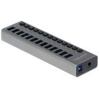 DeLOCK Externe SuperSpeed USB-hub met 13 poorten 