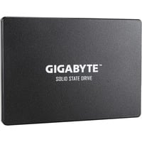 GIGABYTE 256 GB SSD GP-GSTFS31256GTND, SATA 600