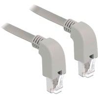 DeLOCK Cat.6a netwerkkabel Grijs, 1 meter, S/FTP, RJ-45